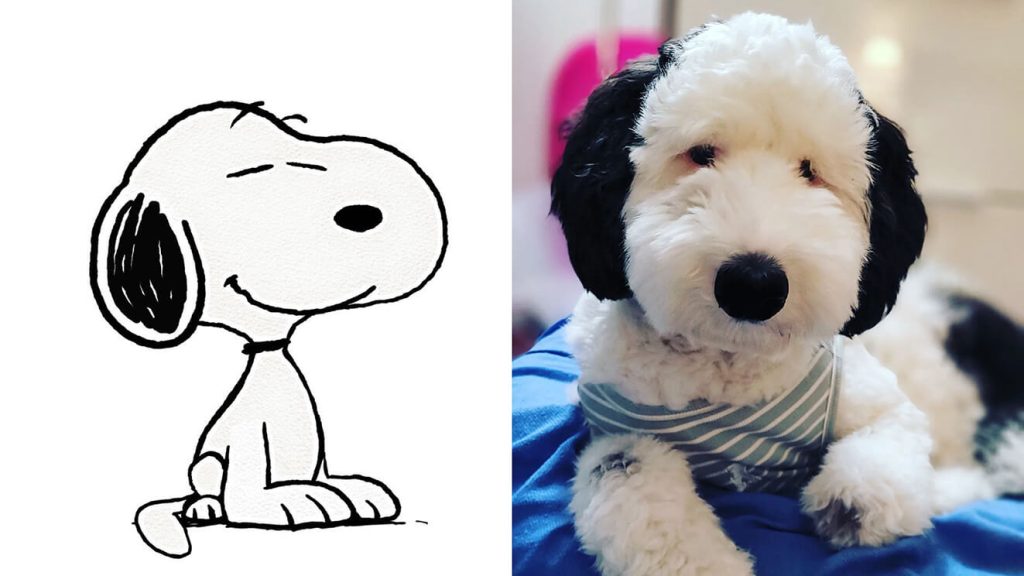 Snoopy